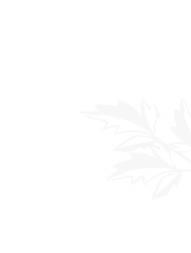 c7在线登录